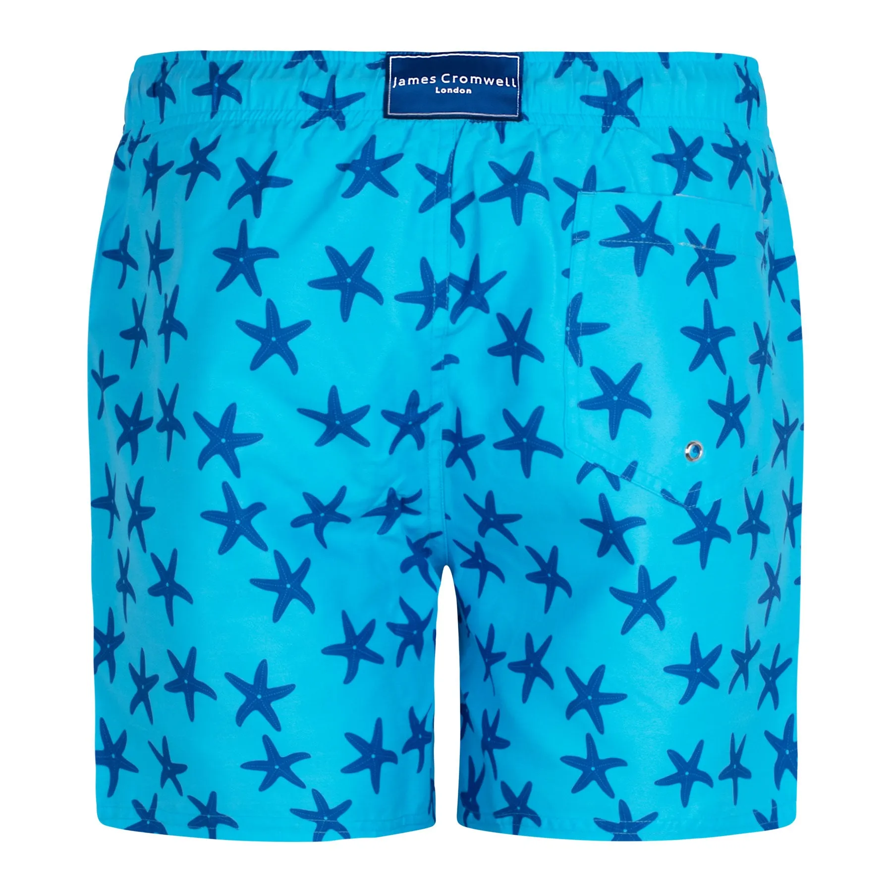 Light Blue Bold Starfish