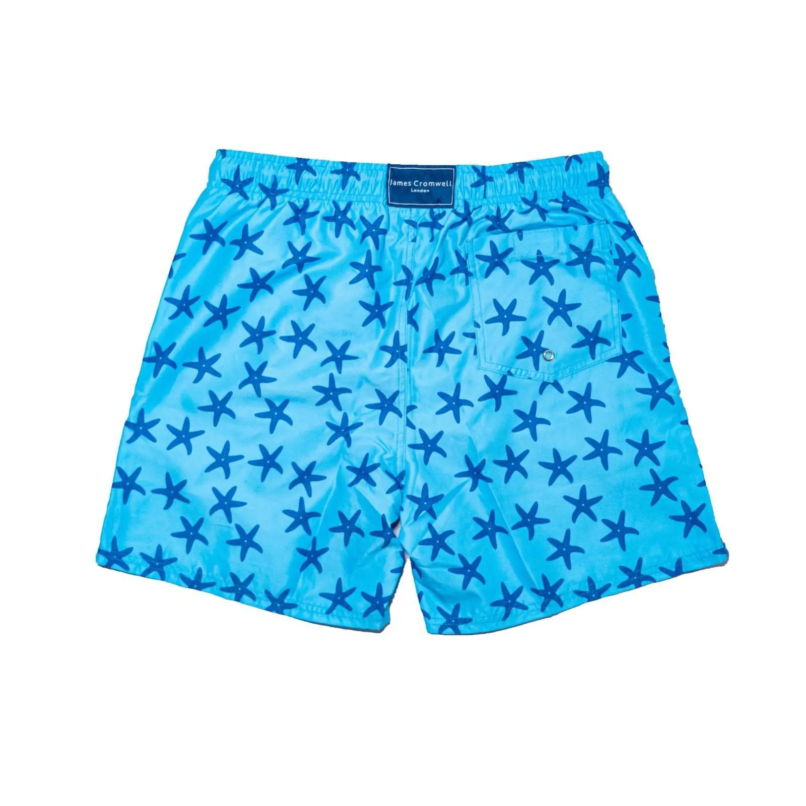 Light Blue Bold Starfish