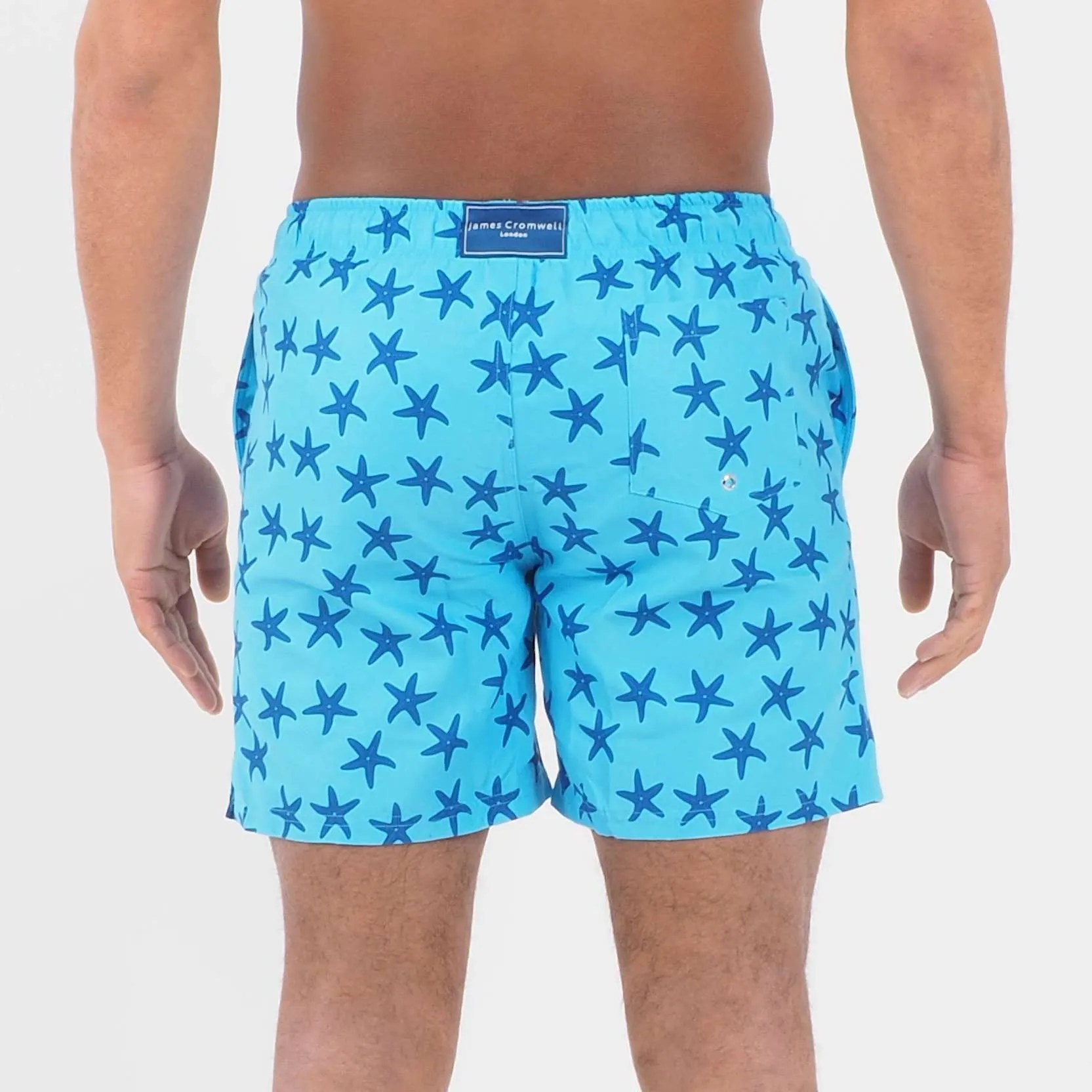 Light Blue Bold Starfish