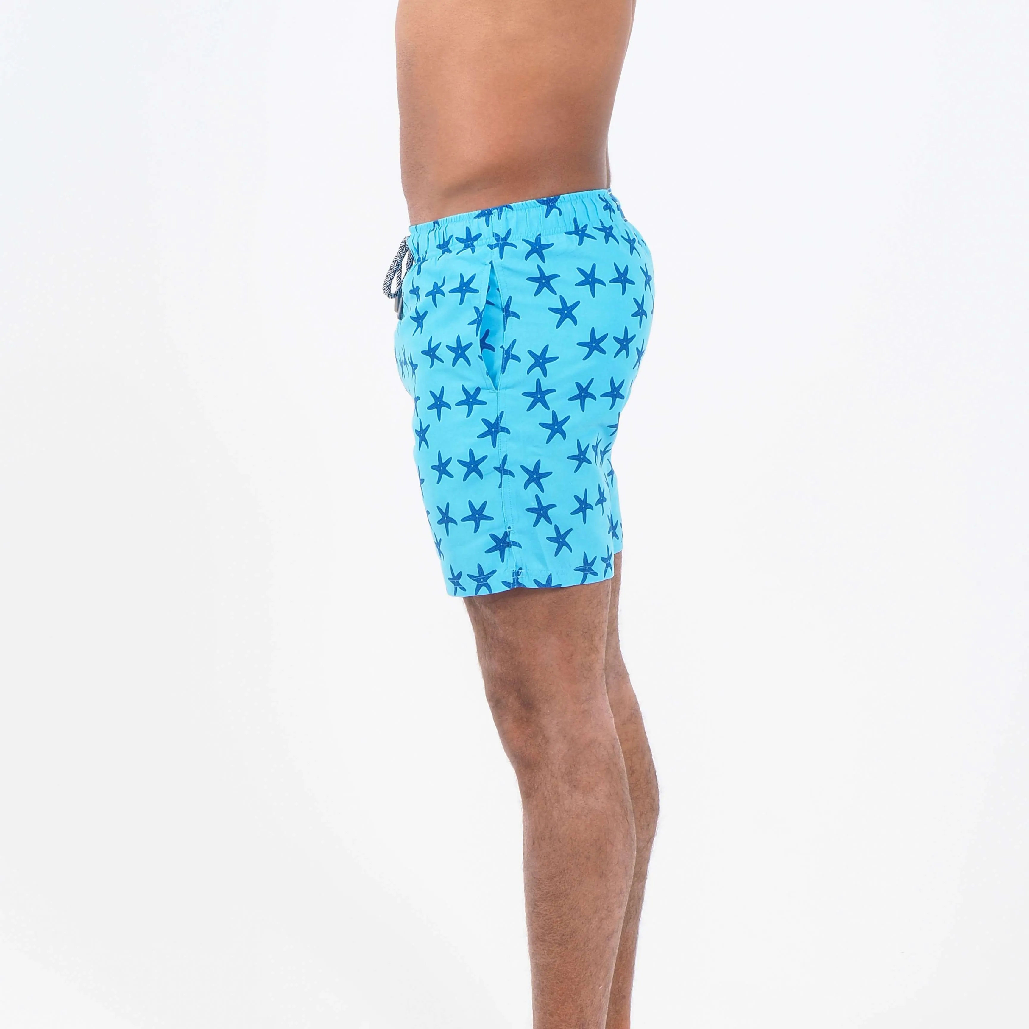 Light Blue Bold Starfish