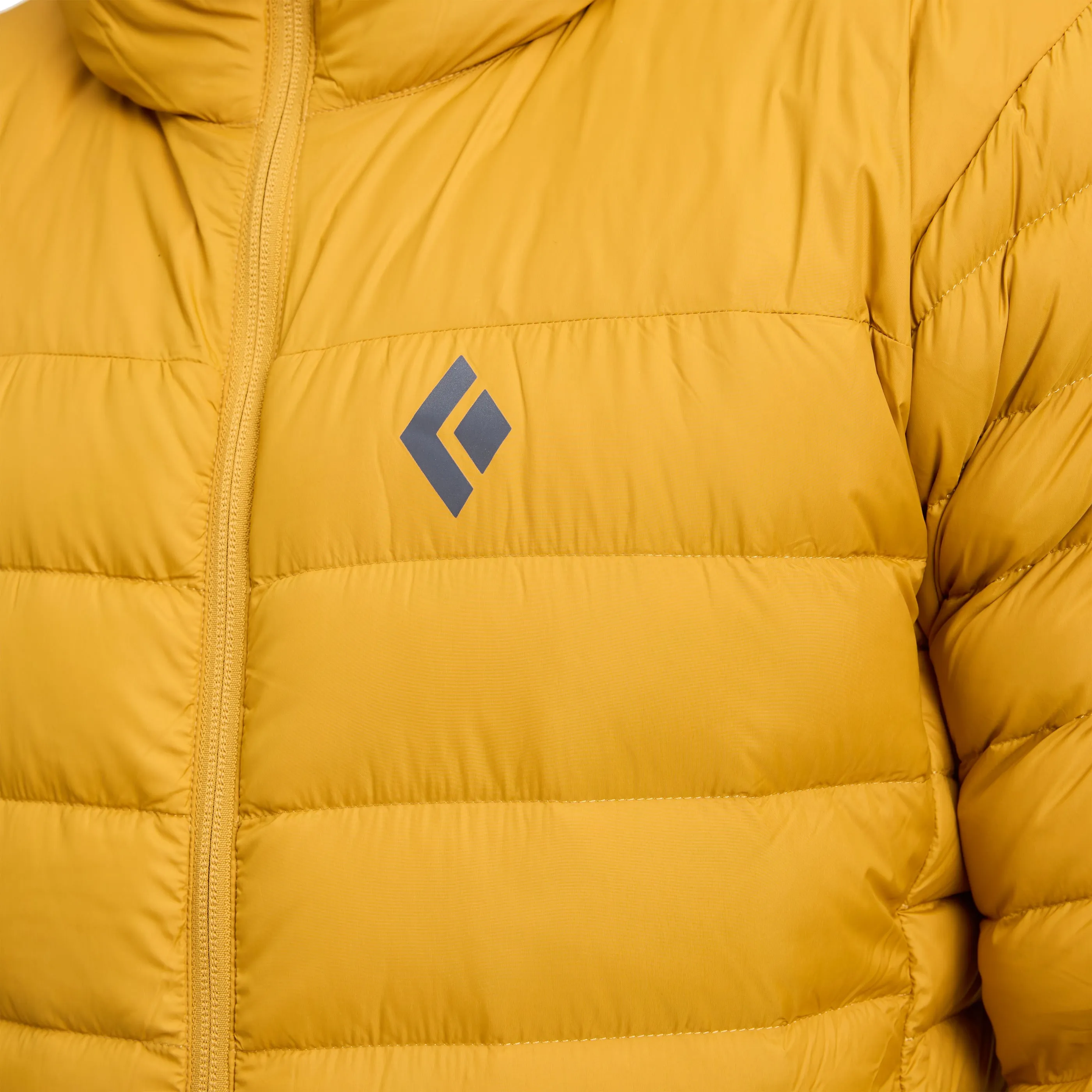 Men's Access Down 1.0 Hoody