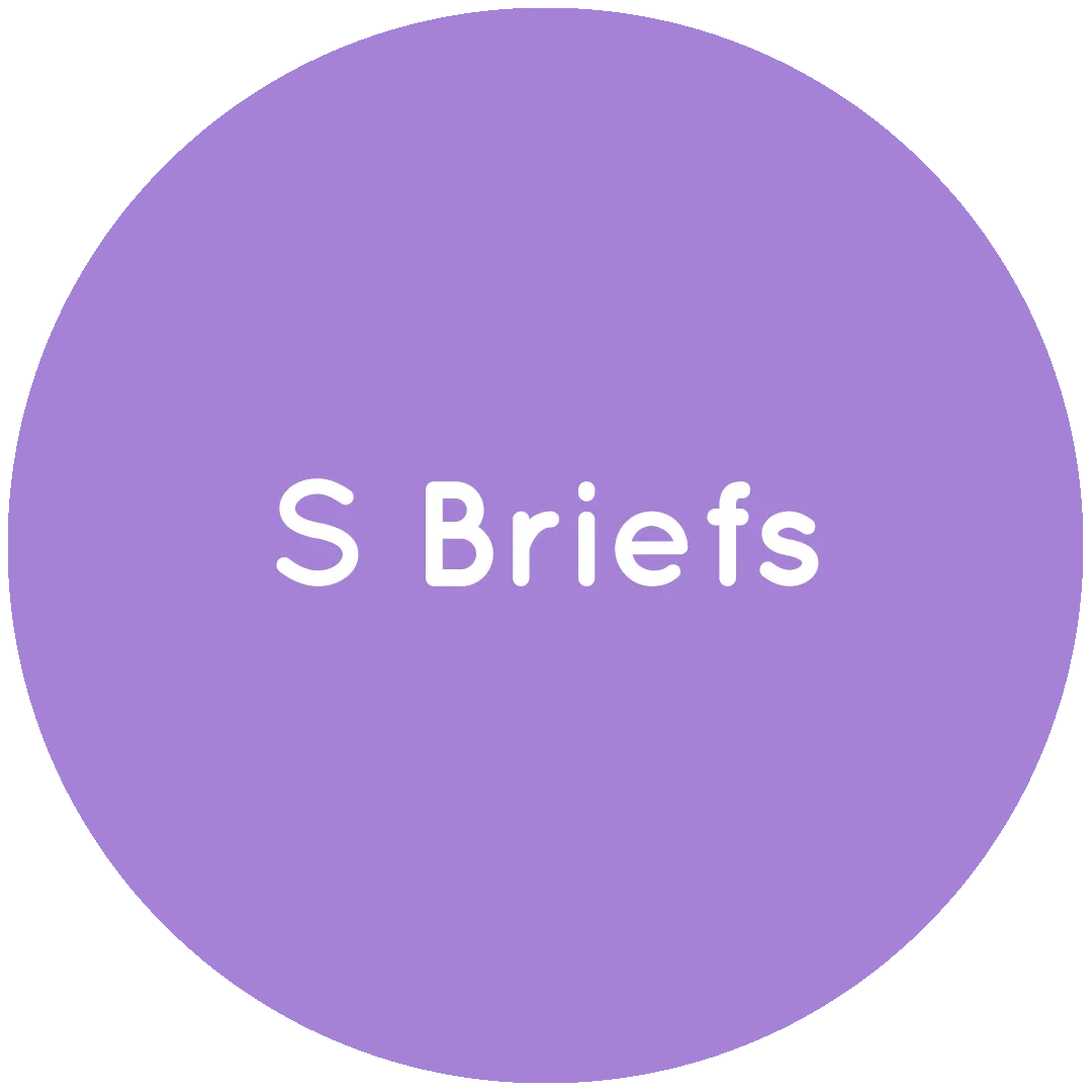OUTLET - S Briefs