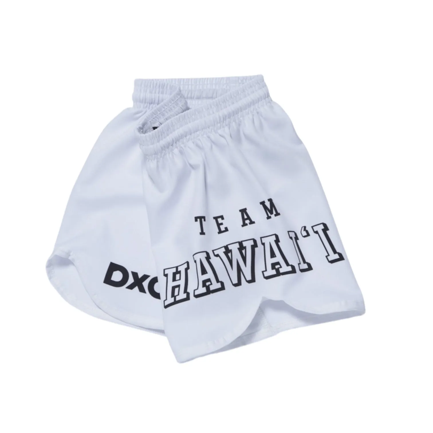 PRE ORDER: Kids Team Hawaii NoGi Shorts - White