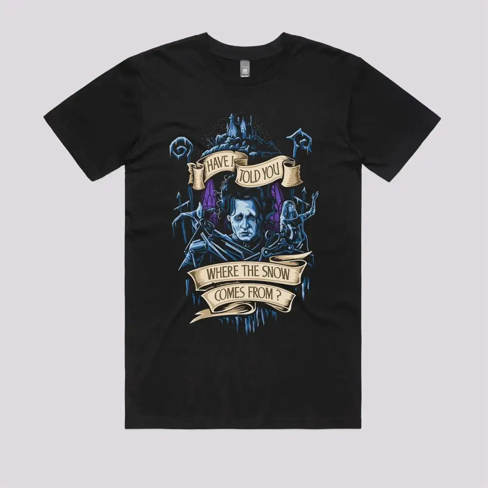 Story About Snow T-Shirt
