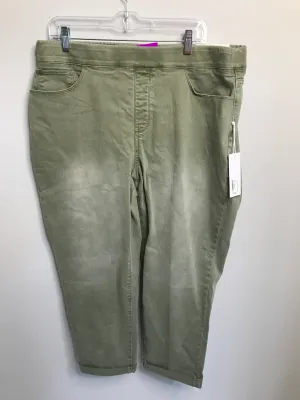Womens Size XL Misses Green Soft Surroundings NWT Pants